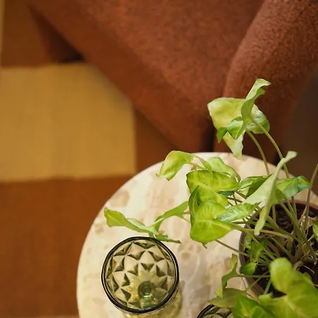 Grazerhof * 格拉茨