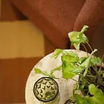 Grazerhof * Грац