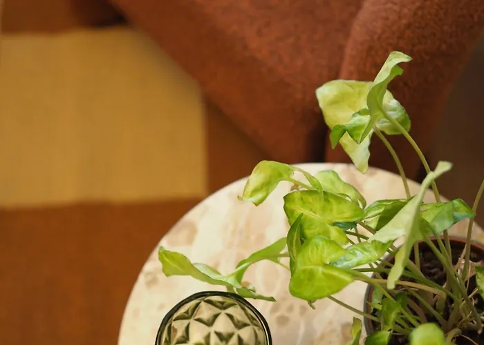 Grazerhof * Грац